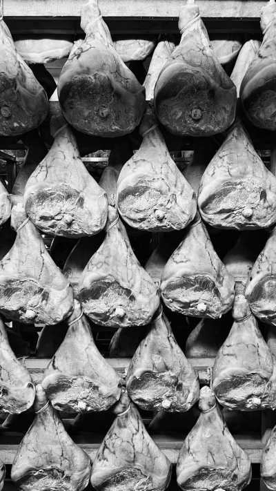 Italien - Zocca - Incredible Food Tour in Italy: Parmigiano, Prosciutto, Balsamic Vinegar, Gelato & Wine