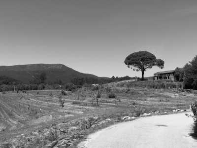 Südeuropa - Ponte de Lima - Hiking The Way of St. James From Portugal to Spain - 1