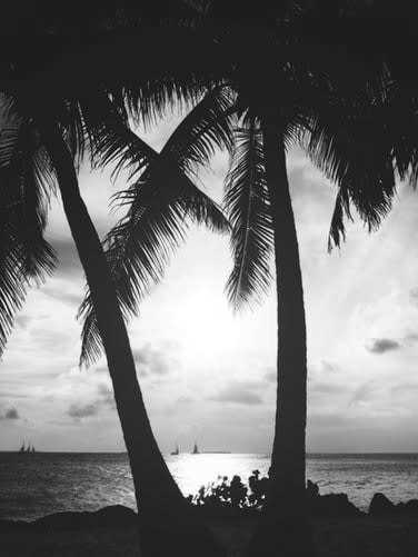 Vereinigte Staaten - Key West - Florida Rundreise 18 Tage  - 1