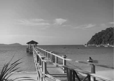 Indonesia - Swimming with Whaleshark, stingless JellyFish, MantaRay at Derawan Islands, East Kalimantan, Indonesia - JoinMyTrip