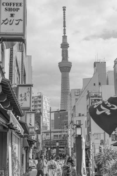 Japan - Tokyo - Spirit of Japan (Reverse Route) - 5