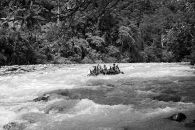 Indonesia - Bukit Lawang - Discover the Wonders of Sumatra: Witness Orangutans, Explore Pristine Beaches, and Conquer Volcanic Hikes! - 2