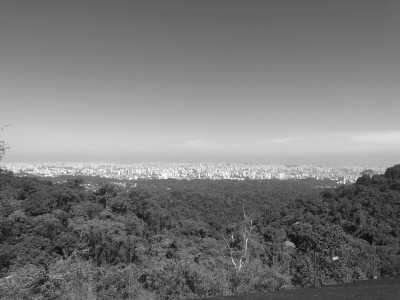 Brazil - Parque Estadual Cantareira - Núcleo Pedra Grande - Samba Soul Retreat: 7 Days of Heart-Opening Bliss in Brazil - 2