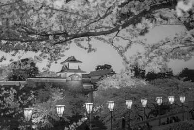 Japan - Kanazawa - Japan Rundreise Kirchblütenzeit (Sakura) 2026