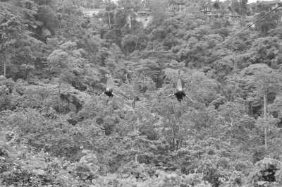 Philippines - Sinagtala Farm Resort - Explore the Philippines with a Local TripLeader - 1