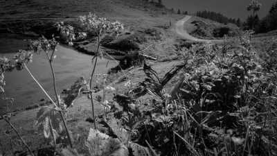 Deutschland - Fellhorn - A Magical Experience | Walkshop | Allgäu | Fellhorn Ridge | German Alps | 4 days - 2