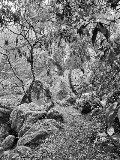 Italy - Torre Alfina - The "Etruscan Heart" Experience