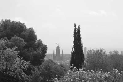 Spanien - Sagrada Família - Sun, Sangria, and Sagrada: Barcelona in May, An Adventure to Welcome Spring and Discover the Spanish Culture - 13