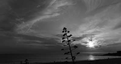 Portugal - Lisbon - Coworking Surfing & Yoga Home Office Villa in Portugal 🇵🇹, Lisbon  💻 🏄🧘‍♀️ ( FOOD, YOGA & SURF LESSONS INCLUDED) - 9