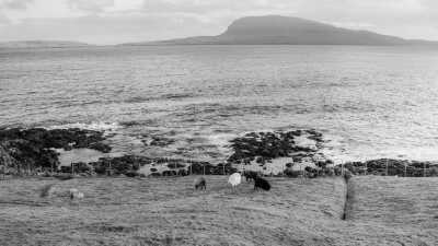 Faroe Islands - Tórshavn - Faroe Islands Fantasy: A Journey Through Untouched Beauty and Nordic Charm - 3