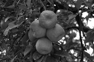 Spain - Royal Alcázar of Seville - Girls Trip to Spain: Seville to Cordoba in a Luxury Apartment with Pool 🤩 - 2