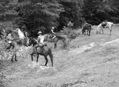 Romania - Cutuș - Romania On Horseback - Horses and Unforgettable Memories - 3
