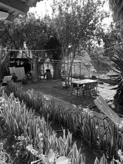 Portugal - Santa Cruz - CoLiving Madeira Santa Cruz, Portugal - Monthly Stays: Why work from home when you can work from paradise? - 3