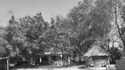 Western Africa - Gambia - Abenteuerreise nach Afrika - Gambia 😊 - 2