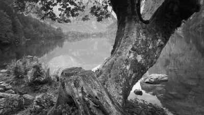 Deutschland - Röthbachfall - Step into the Flow | Berchtesgadener Land | German Alps | 4 days - 1