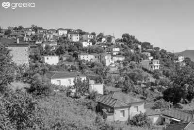Greece - Trikeri - Greece Local Experience: Mountain Pelion Adventure in Centaurus Mt - 3