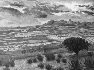 Mexico - Zócalo - Discover Mexico with a local... Chapter :  Corona Capital Festival, Tequila Tasting, and Surfing Bliss 🏄‍♂️🍹 - 2