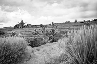 Indonesia - Ubud - Bali Retreat - Explore the best of Bali: Beaches, Jungles, Mountains and Waterfalls🏖️ Stay in villa, Guided by local - 1