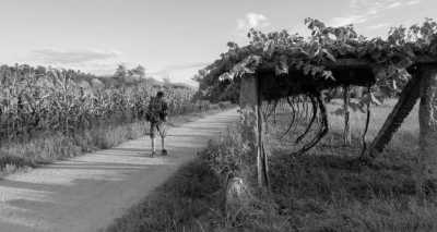 Southern Europe - Santiago de Compostela - Embark on a Pilgrimage: Walking the Portuguese Camino Together - 2