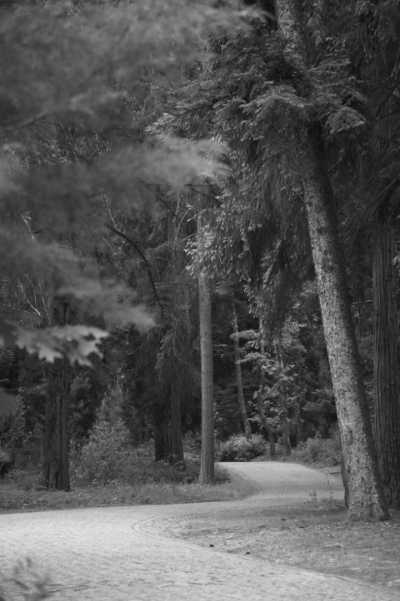 Portugal - Pedras Salgadas - Explore the hidden wonders of the north of Portugal with a local - 12