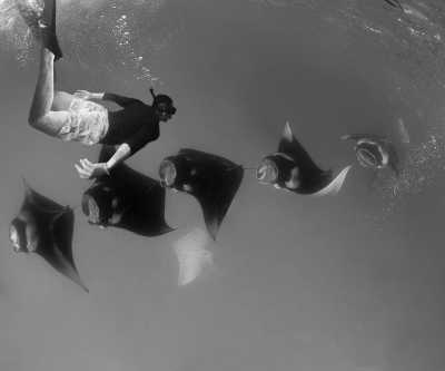 Indonesia - Penida Island - Snorkeling with Manta & Hike Mount Batur in The Island of God - Bali - 4