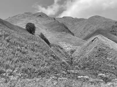 Georgien - Shkhara Glacier - Trekking- und Kulturreise nach Georgien - 6