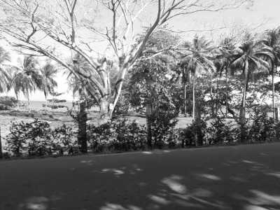 Colombia - Coveñas - Experience the Paradise of Colombia's Caribbean Coast on a Remarkable 30-Day Working Trip: Tolú, Playa El Francés, Coveñas, Isla Palma, Ciénaga la Caimanera and Cistapá Cay - 4