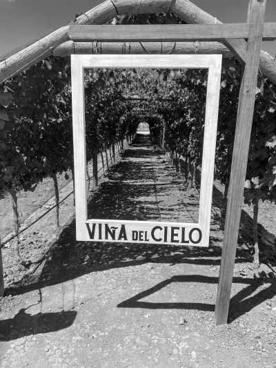 Mexico - Tequisquiapan - A Gastronomic  Journey Through the State of Queretaro in Central Mexico - 22