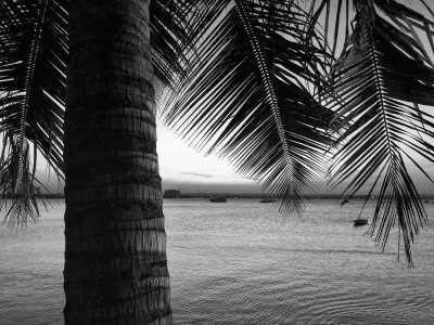 Tanzania - One week Tanzania: culture, nature and beach adventure - Dar es Salaam, Bagamoyo, Mbudya island and Bongoyo island - JoinMyTrip