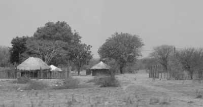 Sub-Saharan Africa - Planet Baobab - Namibia, Botswana, and Zimbabwe Safari trough Africa