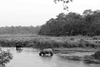 Nepal - Chitwan National Park (Sauraha) - Highlights of Nepal: There's more to Nepal than trekking - 1