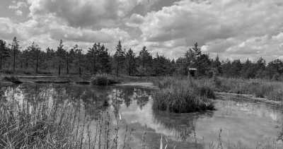 Northern Europe - Nationalpark Ķemeri - Riga and Vilnius kennenlernen - Kultur, Natur und Mehr! - 2