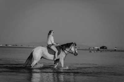 Ägypten - Lagona - Desert to Sea: A Journey Through Dahab's Hidden Treasures - 3