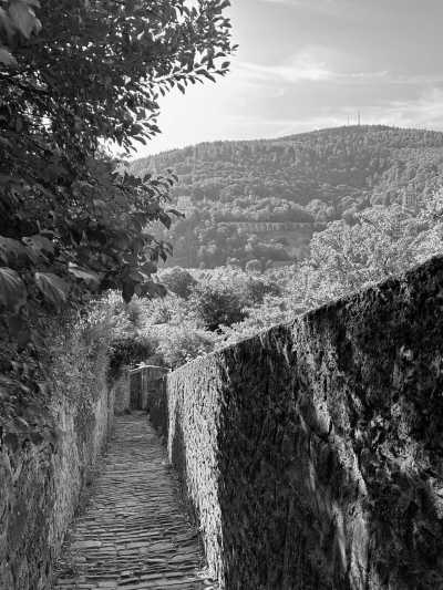 Deutschland - Heidelberg - Travel Through the Black Forest, Germany - 2