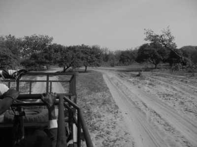 Gambia - Mr. B's Adventure Camp Buniadu - Abenteuerurlaub Afrika Gambia - 4