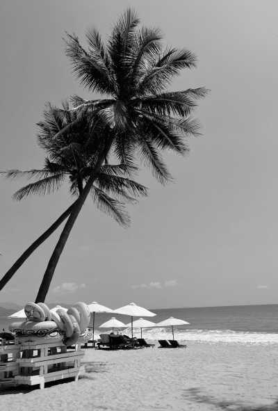 Vietnam - Nha Trang - All in one trip to Vietnam: Ho Chi Minh City and Da Lat - Nha Trang, Travel in a local way - 3