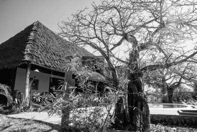 Tanzania - Jambiani - Zanzibar Coworking Experience: Your Journey Starts Here - 1