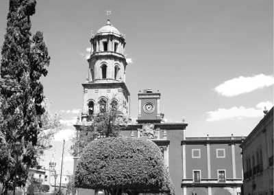 Mexiko - Santiago de Querétaro - Peyote Experience Camping Trip into Wirikuta Desert, Mexico - 2