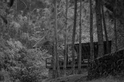 Malaysia - Janda baik - Celebrate the Authentic Soul of Malaysia: Dive into the Heart of Kampung Style Living! 🌿🏡 - 1