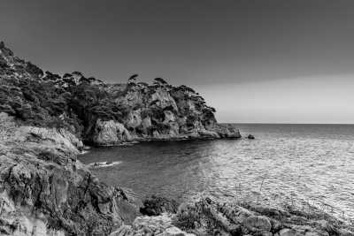 Spain - Escape, Connect, Dream: Join the Ultimate Co-Living & Co-Working Retreat in Marbella! - JoinMyTrip