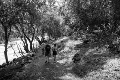 Guatemala - Semuc Champey Natural Monument - Guatemala All-Inclusive Adventure: Turquoise Jungle Springs, Volcano Hike, Coffee Tour, and Lake Villa Amidst Stunning Volcanic Scenery - 1