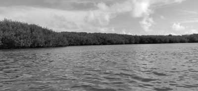 Senegal - Somone - Experience the real Senegal - Get to know the culture and locals - 2