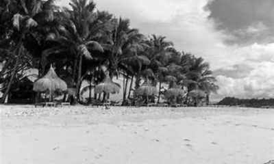 Philippinen - San Vicente - 🐠 Swim, Snorkel & Unwind: Ultimate Port Barton Experience! - 1