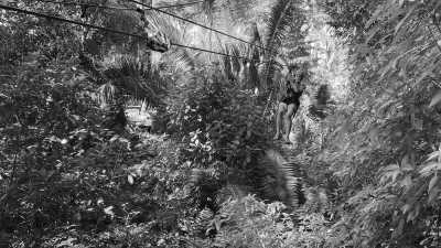 Belize - Caves Branch - Experience Belize Like a Local: Authentic Travel Adventures Await - 1