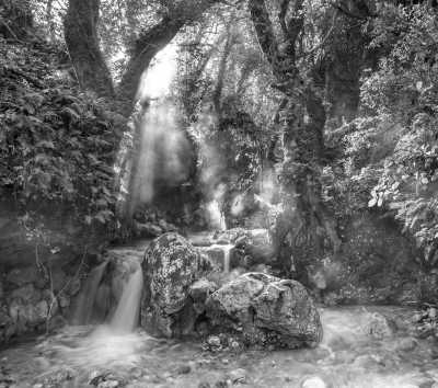 Mexico - Hotel Finca Hamburgo - Explore Chiapas Mexico - Mangroves beach, mountains and jungle! - 1
