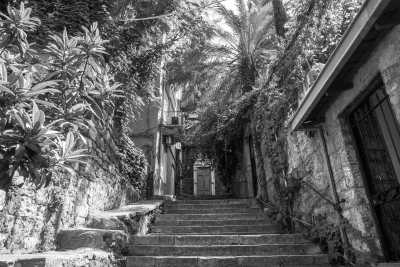 Lebanon - Tyre - Discover Beirut Lebanon Summer Nature Nightlife - 4