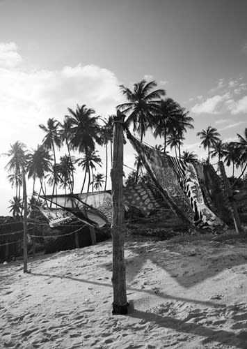 Kenia - Diani Beach - Kenya Adventure Safari + Beach Stay (private room fits 1 pax) - 6