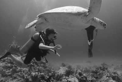 Thailand - Ko Tao - CoWorking in Southern Thailand: Chumphon & Koh Tao Adventure - PADI Open Water, Durians & Coffee, Breakfast Included - 4