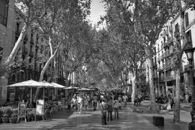 Spanien - La Rambla - Sun, Sangria, and Sagrada: Barcelona in May, An Adventure to Welcome Spring and Discover the Spanish Culture - 2
