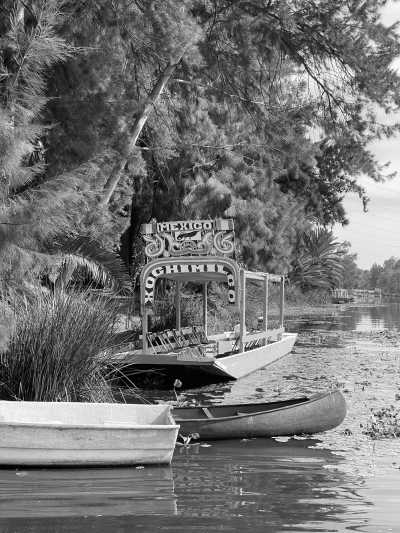 Mexico - Xochimilco - Mexico City: Monarch Migration Expedition - 6